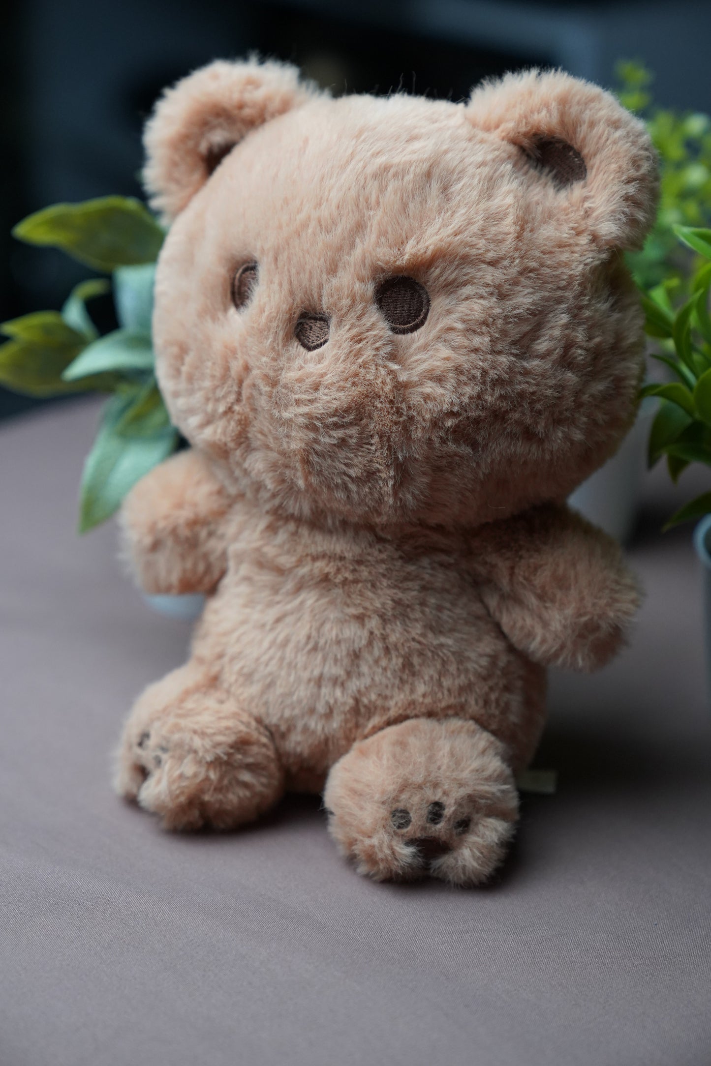 Mocha Bear Plush Stuffed Animal