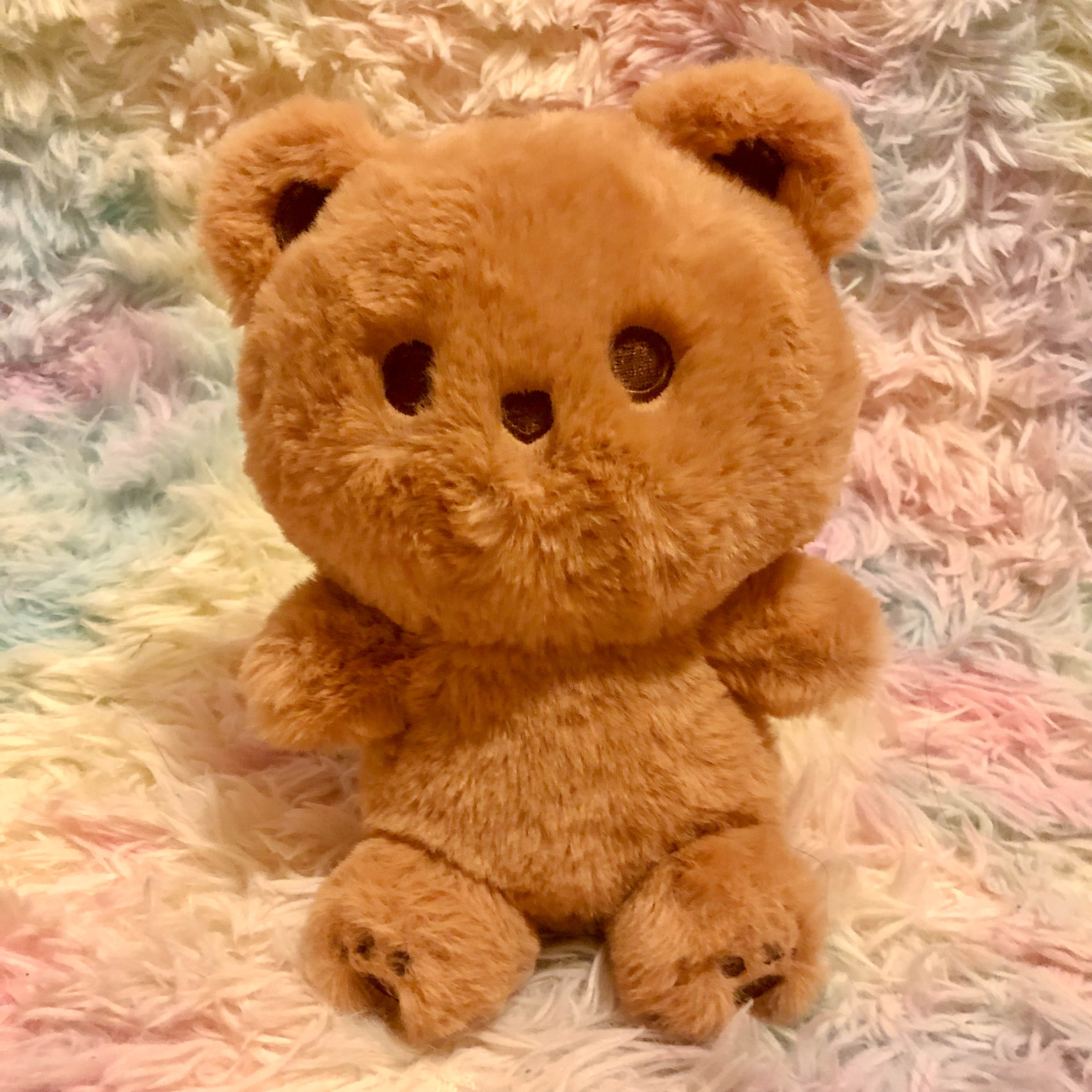 Mocha bear stuffed animal plush against rainbow backdrop sitting