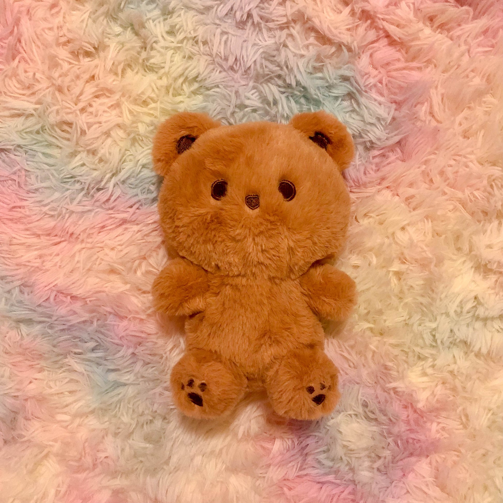 Mocha bear stuffed animal plush against rainbow backdrop top view